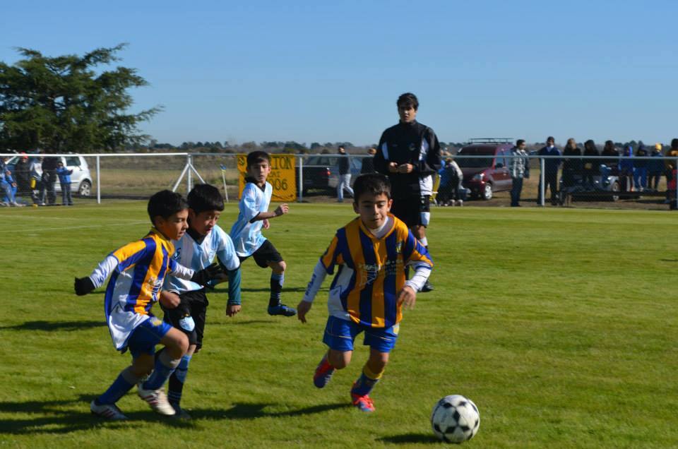 Everton Infantil 3